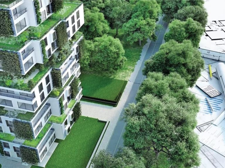 Paysage naturel préservé en bordure d'une zone de projet, illustrant l'évaluation des impacts environnementaux